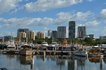 Duck Pond Darwin